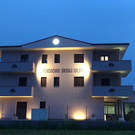 Pensione Degli Ulivi ปอร์โต ซันเตลปีดิโอ ภายนอก รูปภาพ