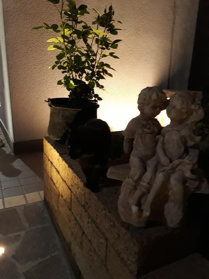 Pensione Degli Ulivi ปอร์โต ซันเตลปีดิโอ ภายนอก รูปภาพ